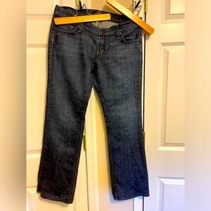 James Jeans “Dry Aged Denim” size 31 Vintage